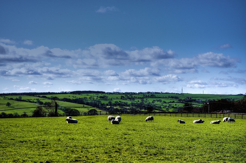 Yorkshire autumn england