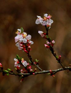 Random Acts Of Senseless Beauty