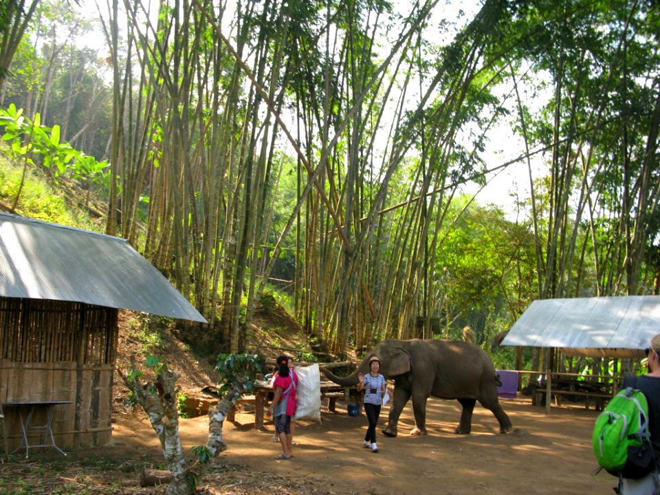 Parque Natural de Doi Inthanon Chiang Mai (Tailandia)