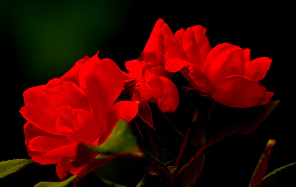 Deep Red