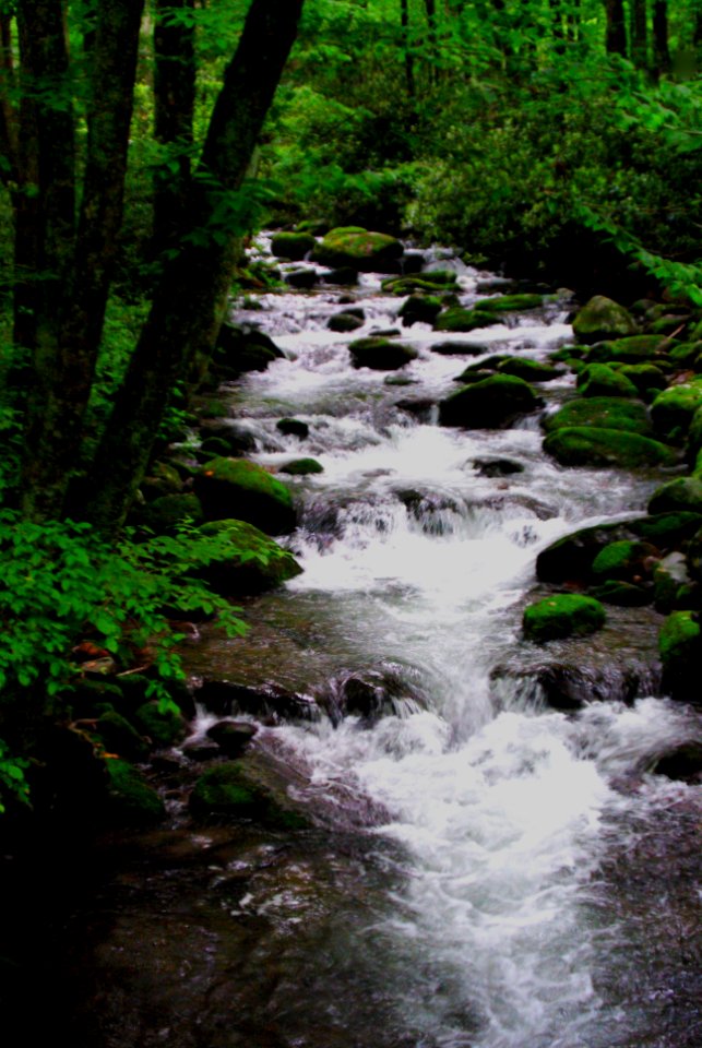 Smoky Mountain Stream photo