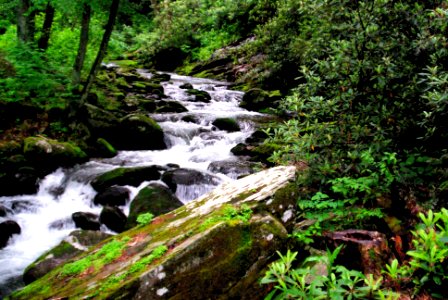 Smoky Mountains National Park photo