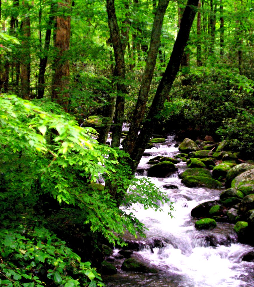 Smoky Mountains photo