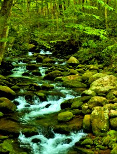 Smoky Mountains Stream (Explore March 2019) photo