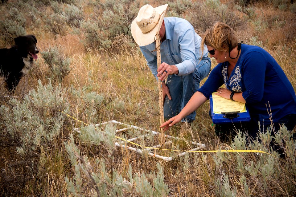 5848 NRCS projects.jpg