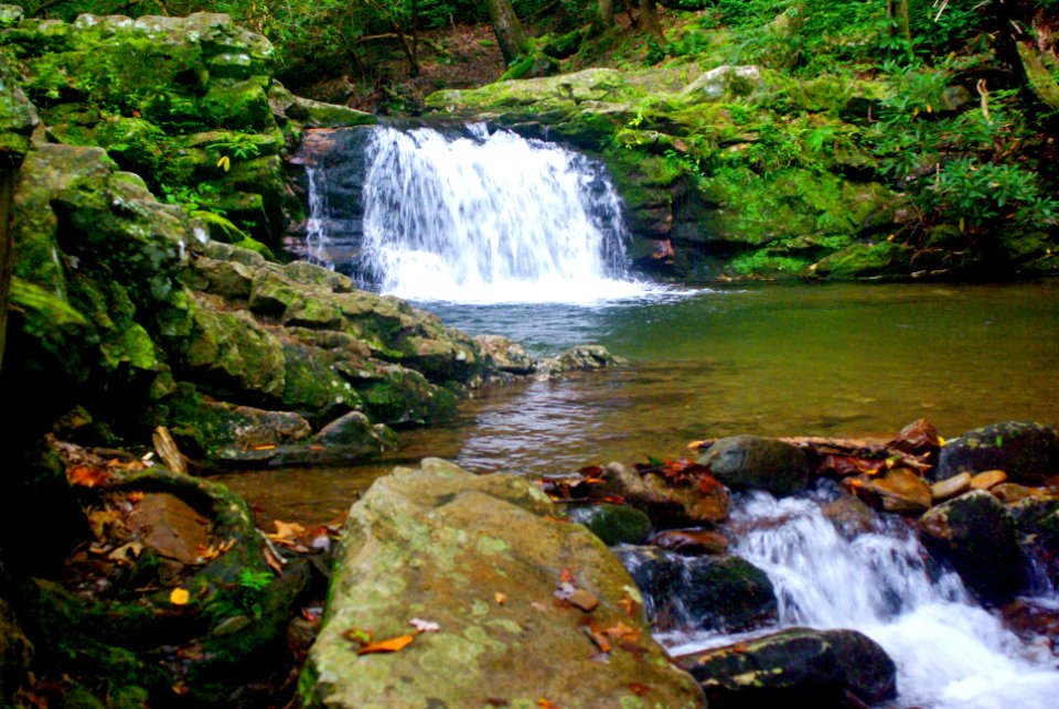 Cherokee National Forest