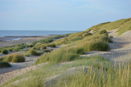 20170807 Dunes at the beach of Burgh Haamstede, Netherlands photo