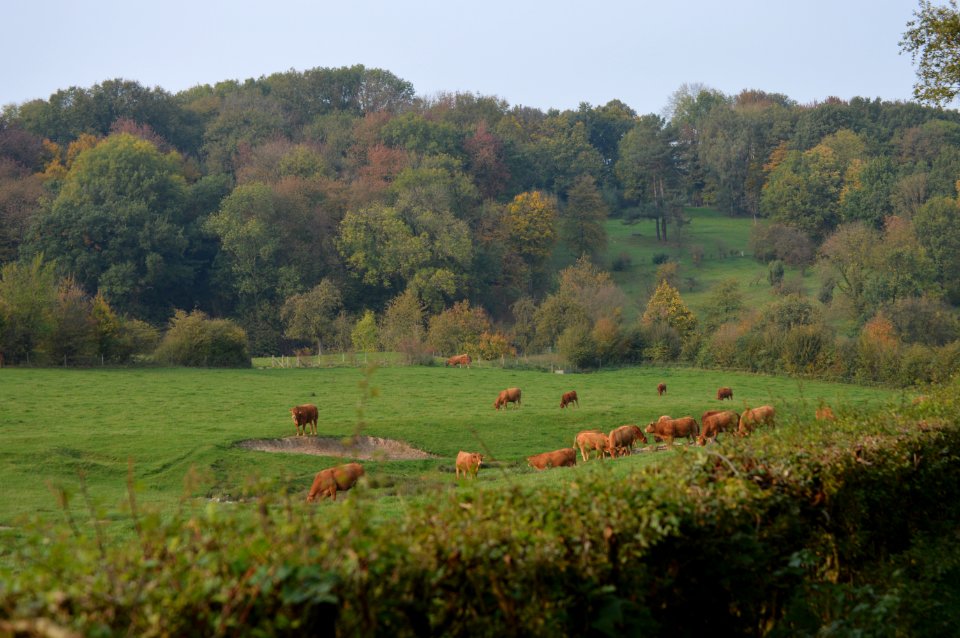 20171017 Limburg