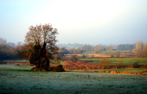First frost