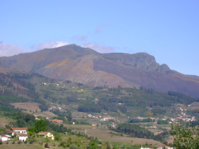 DSC05350
