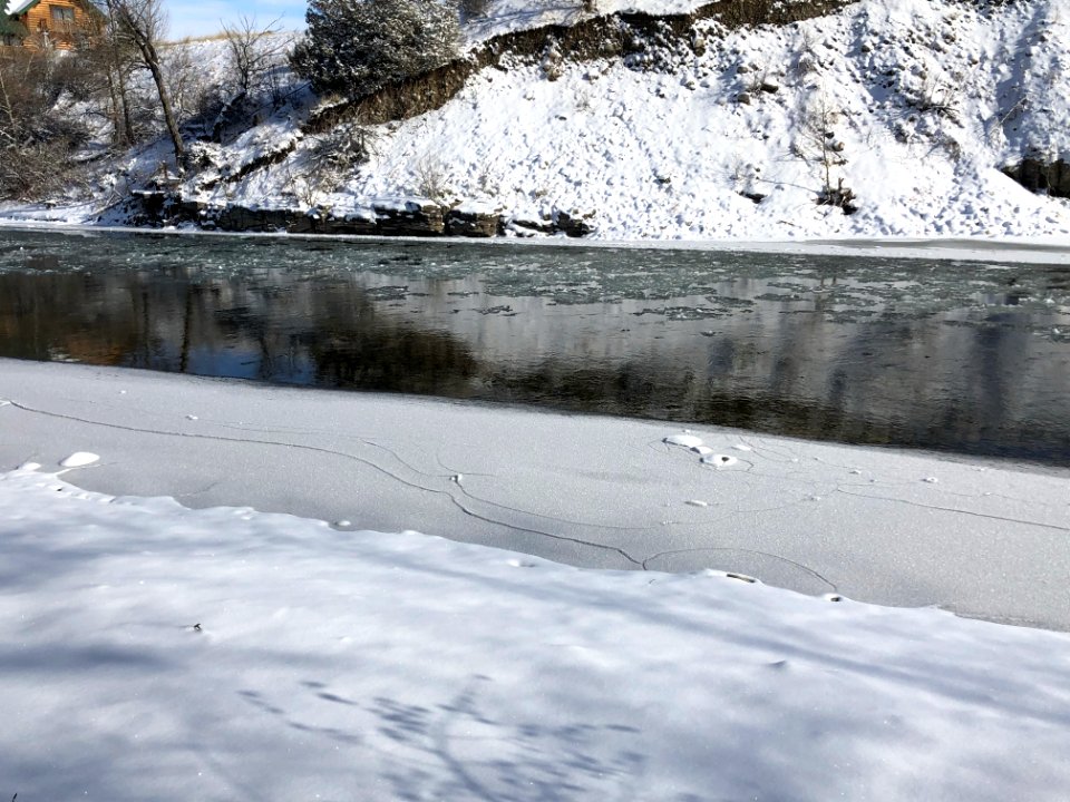 SNOW55