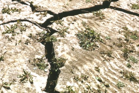 Soil Survey97.tif