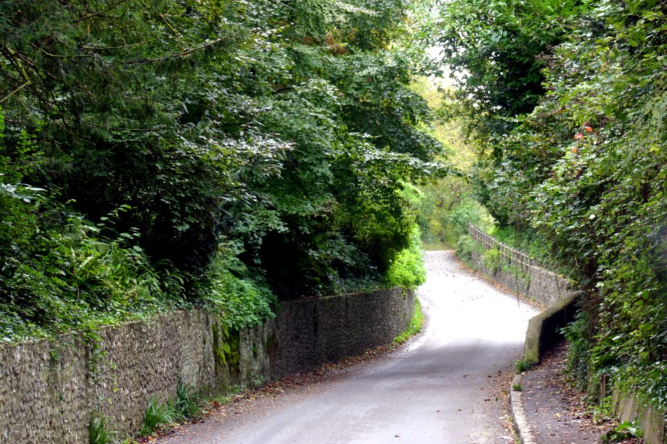 Leafy Road (Wilmington East Sussex)