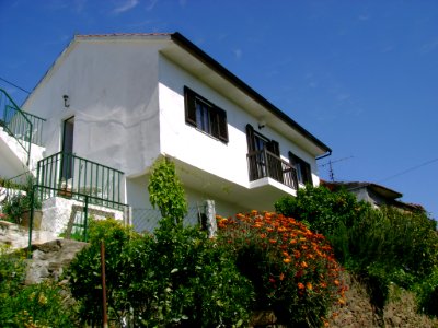 DSC05380
