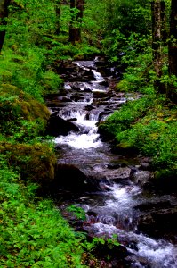 Mountain Brook Smoky Mountains photo