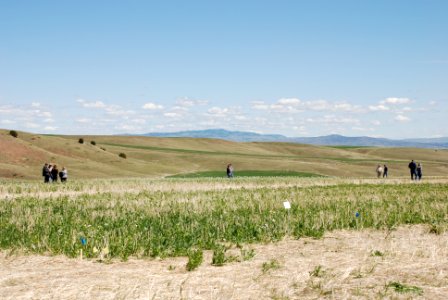 Cover Crops Tour 101 photo