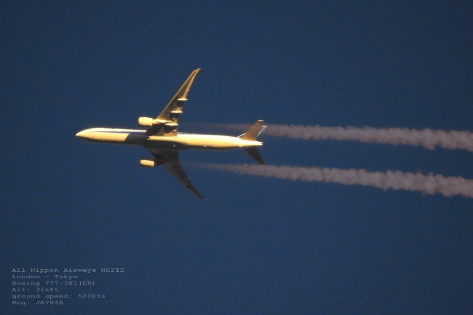 taken from my backyard 103