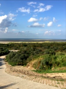 20170901 dunes, Burgh Haamstede, Netherlands photo