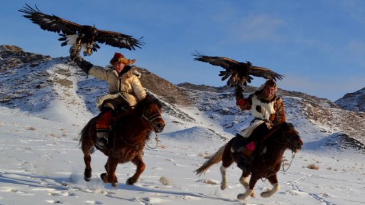 golden eagle festival mongolia 30