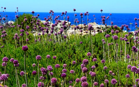 Methoni - castle grounds