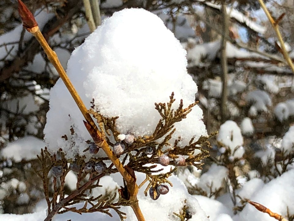 SNOW27