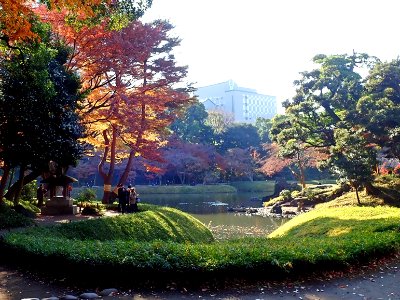 Autumn colours of leaves at Koishikawa Kourakuen IMG 3870-2 photo