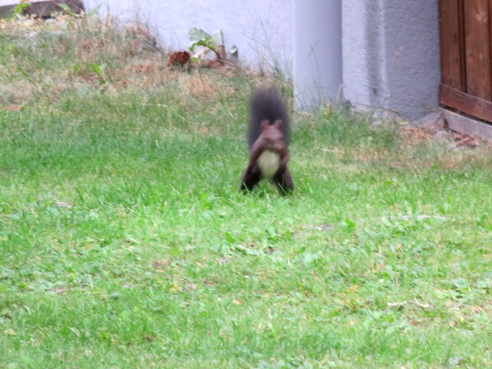 IMG 1022