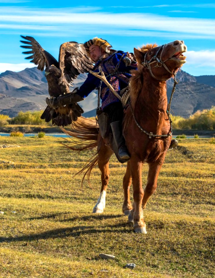 golden eagle festival mongolia 16