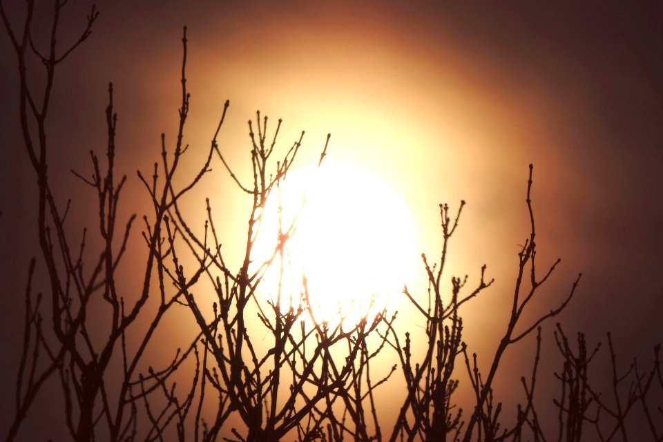 the moon disguised as the sun