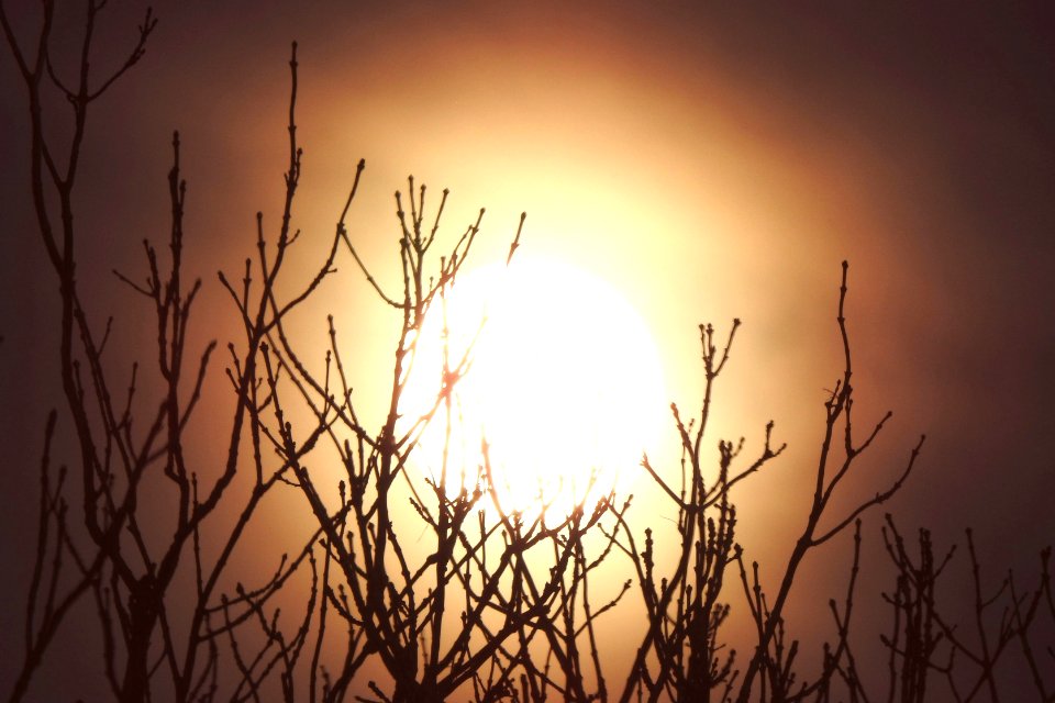 the moon disguised as the sun photo