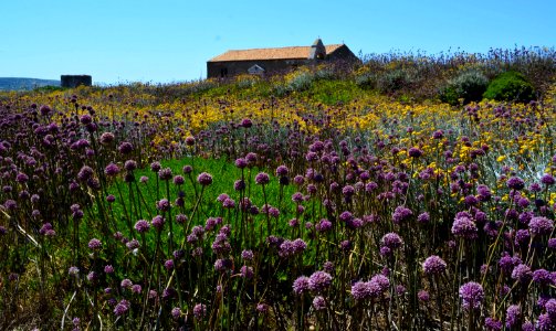 Methoni - castle grounds