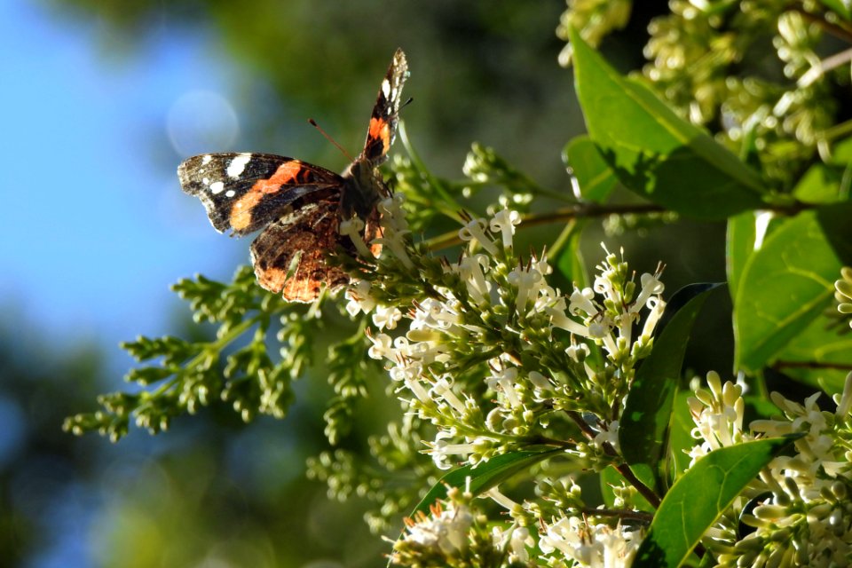 spread your wings and fly