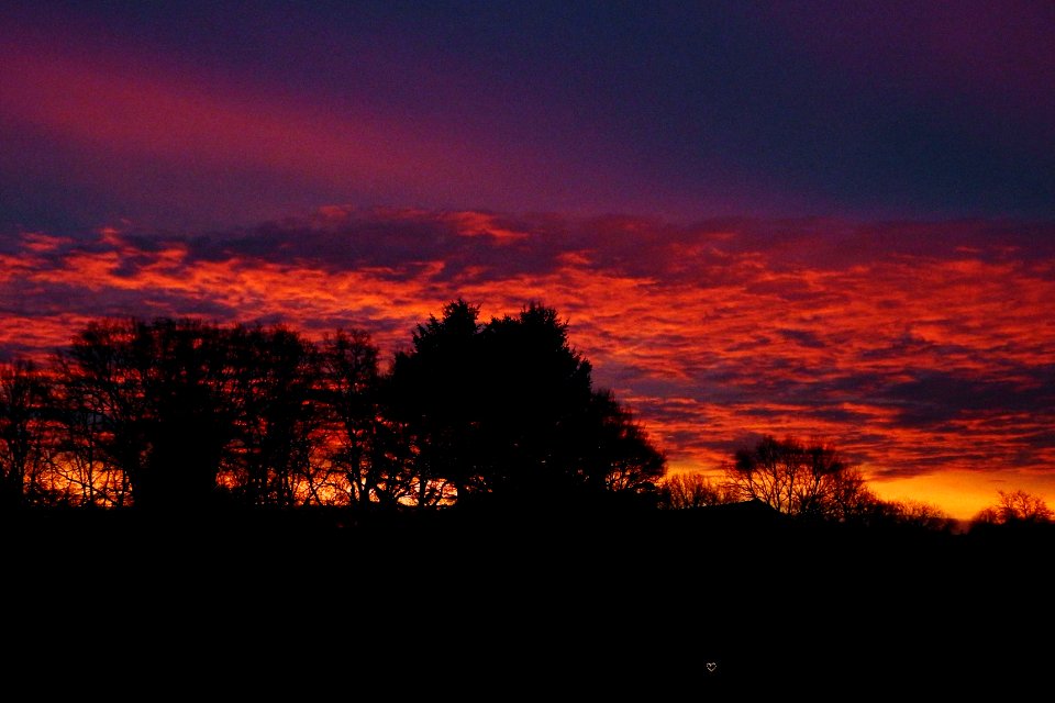 a new year a new dawn