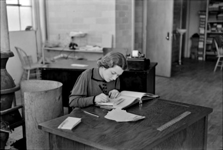 Jeannete Feinstock, clerk in the factory office of a cooperative clothing company. Hightstown, New Jersey, November 1936.