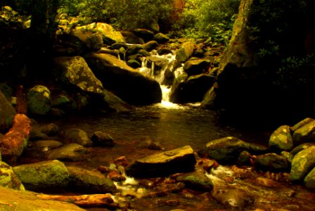 Smoky Mountains