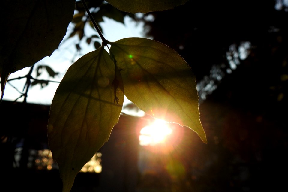 fall time impressions