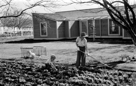 New Found Land: El Monte Federal subsistence homesteads in California, 1936. One hundred homes, each with three quarters of an acre land, all occupied. Average family income, eight hundred dollars per year.