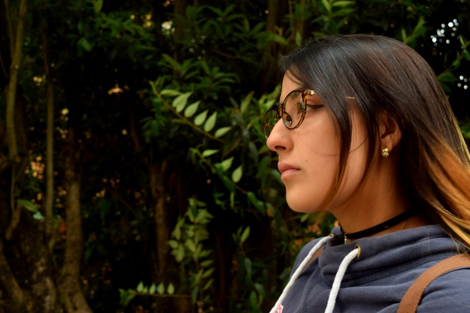 Ley de la mirada