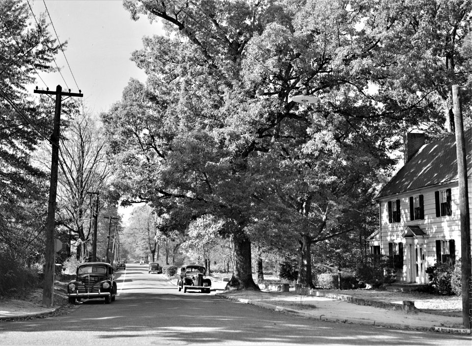 The Golden Hour: Street in Chapel Hill, North Carolina, Fall 1939.