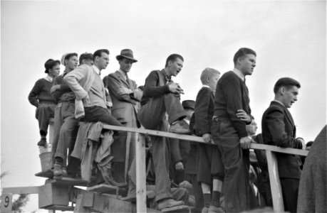 Cheap Seats: Spectators at the Duke University-North Carolina football game. Durham, North Carolina, October 1939.