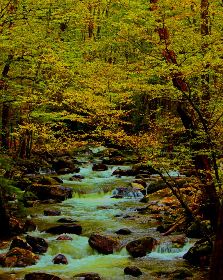 Falls Golden Hour