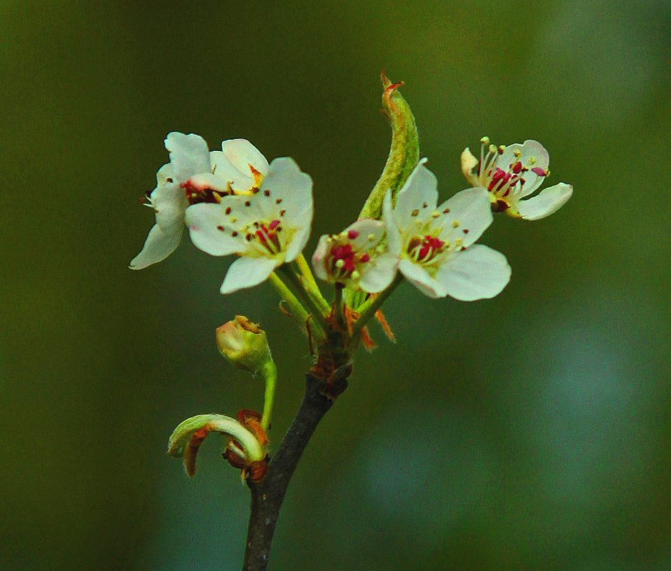 Spring Is Coming