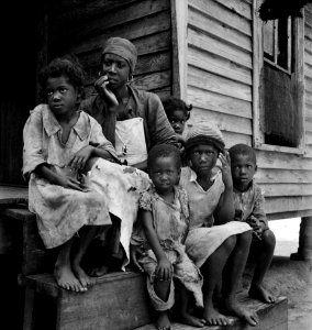 A Dollar a Day: Turpentine worker's family near Cordele, Alabama. Father's wages one dollar a day. This is the standard of living the turpentine trees support July 1936. photo
