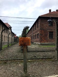 Auschwitz, Polonia photo