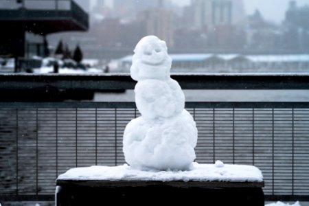 Snowman in East River Park photo