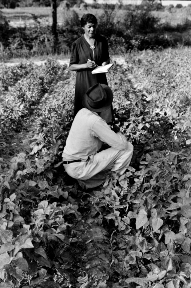 Farm Aid: A Home supervisor writing out a check for a FSA (Farm Security Administration) borrower. Saint Mary's County, Maryland. September 1940.