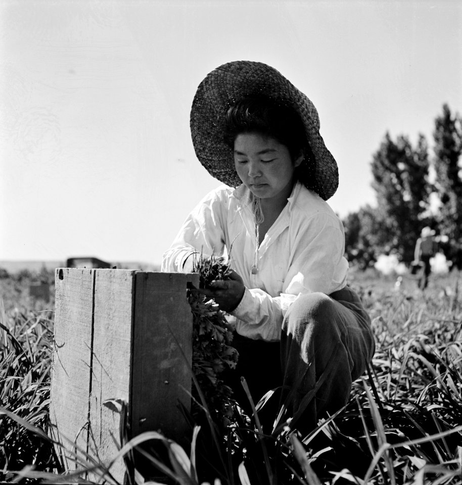 A Japanese-American farm worker. Nyssa, Oregon, July 1942.
