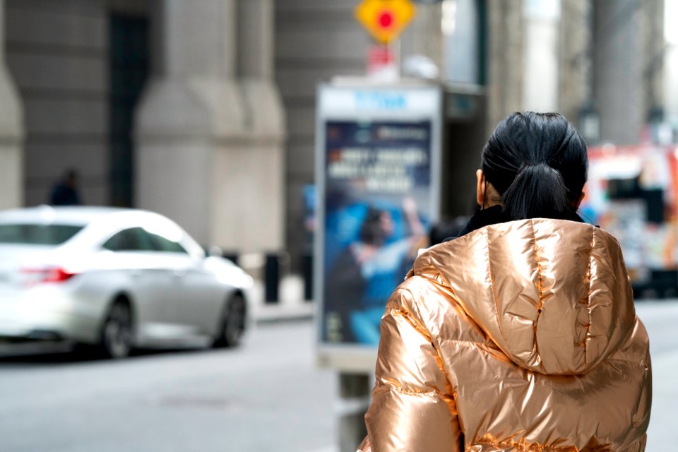 Gold Coat photo