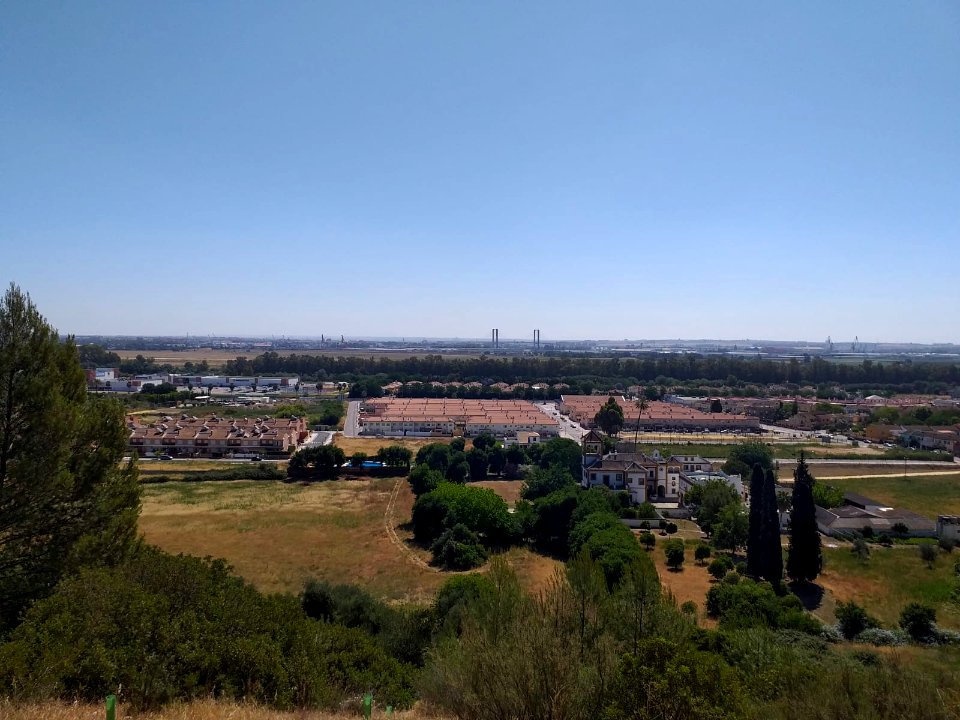 Pinar de Simón Verde, Mairena del Aljarafe (Sevilla)