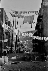 City Vines: An avenue of clothes washings between 138th and 139th Street apartments, just east of St. Anne's Avenue, Bronx, New York. November 1936.